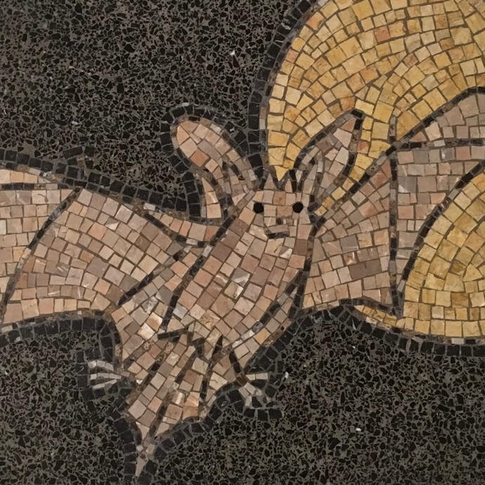 image of a bat mosaic